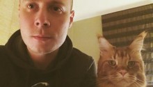 cat