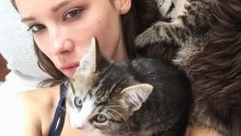 cat