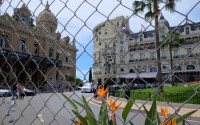 -  Grand Prix de Monaco