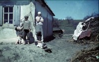  , 1943 .     