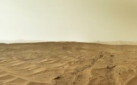 Curiosity     