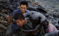 ���������� ���������� �������� World Press Photo 2010