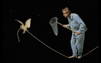 ������ ������������� Teun Hocks