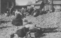 CCC� 1930-� �����