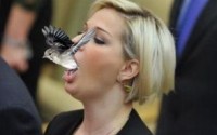�������� �� �������-��������, ������ ����
