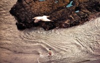 Photos by Andrew Smith 