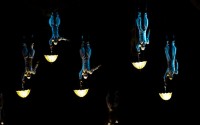 Cirque du Soleil. ��� Zarkana