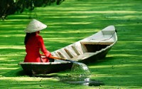 ������� � ����������� Hoang Nam