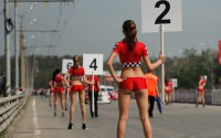 ����-������ 2012. ��������