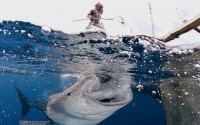 ������ ���������� National Geographic � ��� 