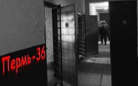 �����-36