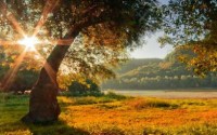 �������� Adam Dobrovits