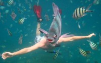 ������ "������" ������ �� National Geographic