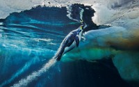   National Geographic  