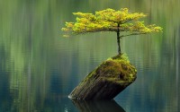 60       TwistedSifter ( 1)
