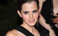    Met Ball 2013
