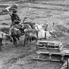 Собираем деньги на памятник оленно-транспортным батальонам в Мурманске