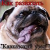  ""   ""