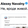 Кто-то запустил фейк о гибели Алексея Навального