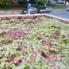 Хозяйствование по-собянински
