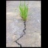 ������� - ��������� ���������