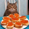 Кое-что о поведении владельцев домашних животных в российской глубинке