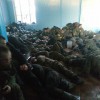 Расположились как смогли — как селедки в банке