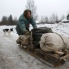 Контрасты
