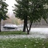 ������ ����