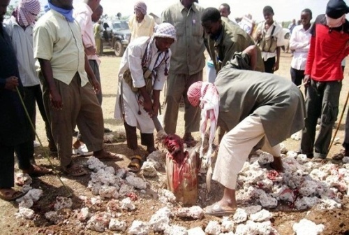 ����� ����� ���� �� �������