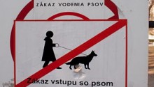  ,   , !