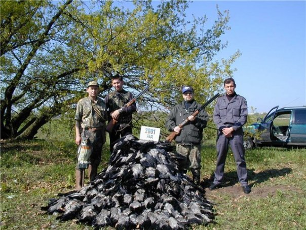 ������ �� ������ � ����� ������������ ���������? 