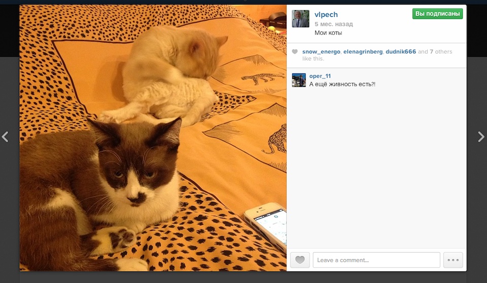 ���������� ������ ������ � ��������� �������