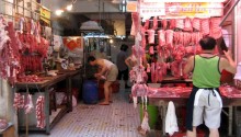     wet markets